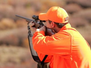 renewal of a permit for hunting weapons