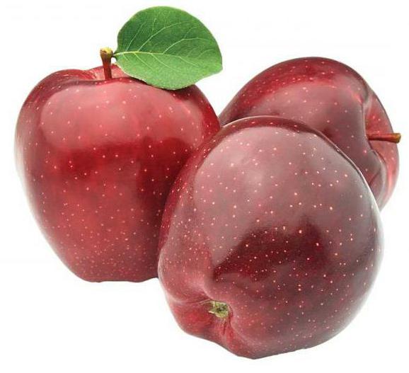 product classification