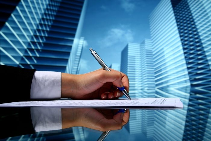 subjects and objects of investment activity