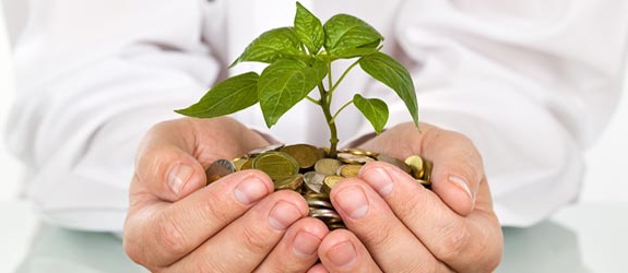 subjects of investment activity are