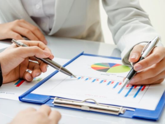 composition of long-term financial investments