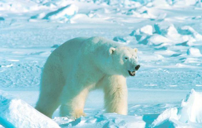 state natural reserves of Russia