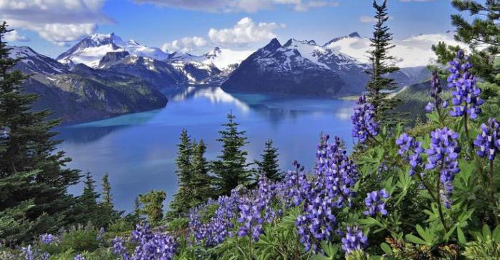 specially protected natural reserves of Russia