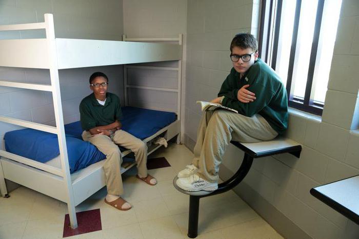 the appointment of educational colonies