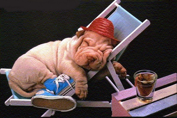 how much can you make noise in an apartment in Moscow on the weekend