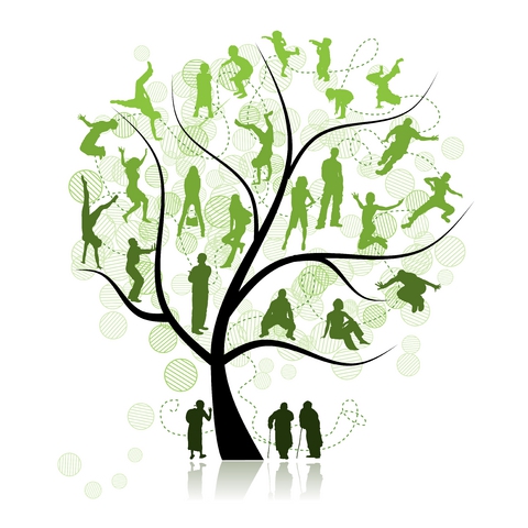 certificate of inheritance