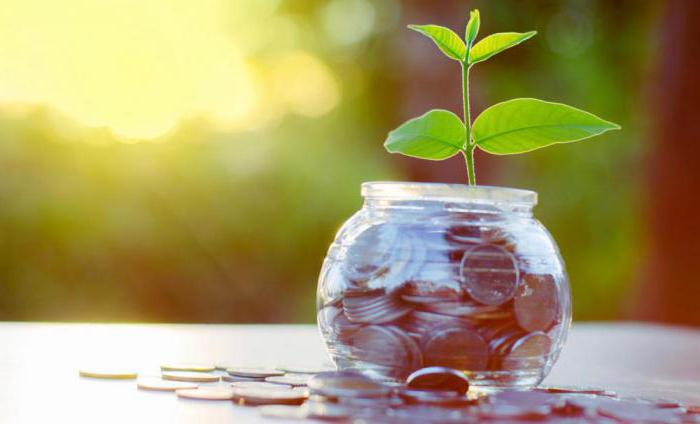 sources of budget financing