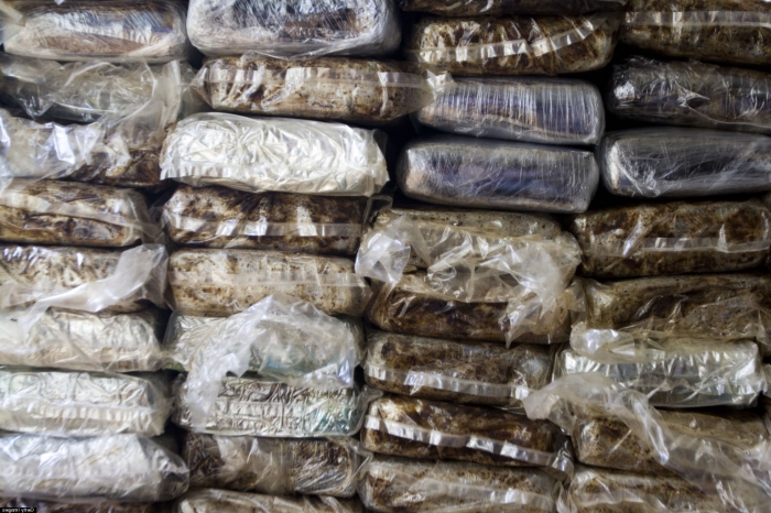 228 extra large size