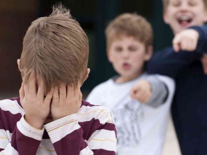 article insult to honor and dignity