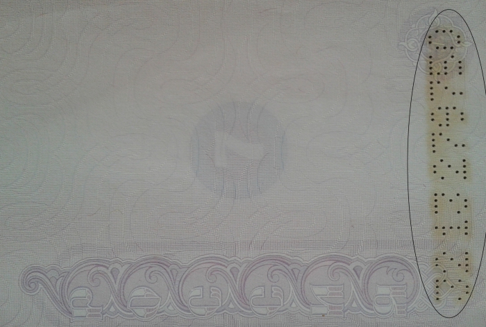 Russian passport series