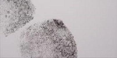 Article 151 of the CCrF