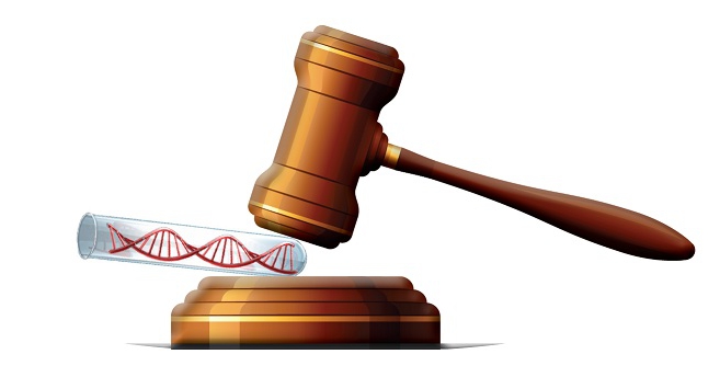 Is it possible to patent an idea