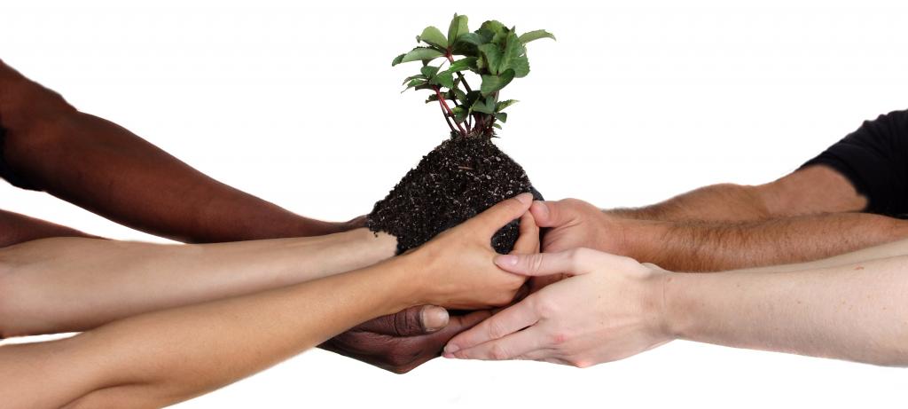 obtaining free travel on NSOs