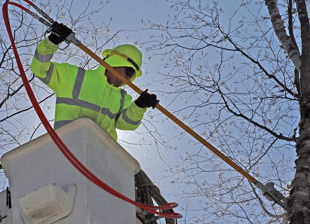 Grounds for termination