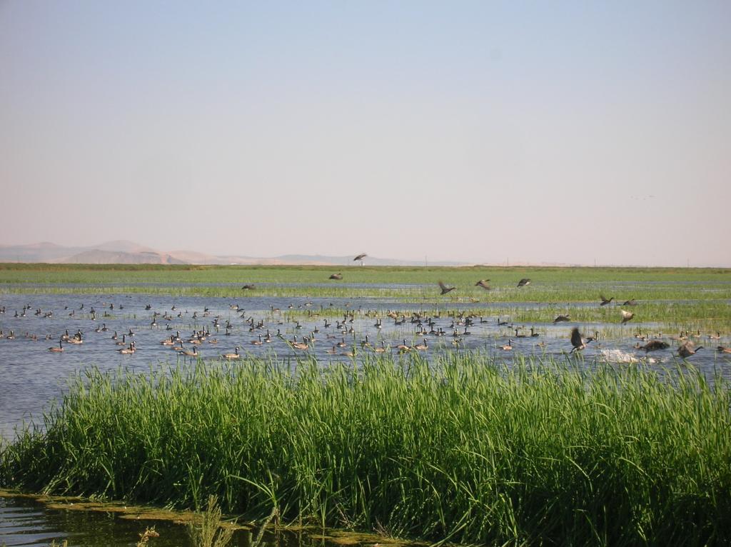 Water fund land for rent