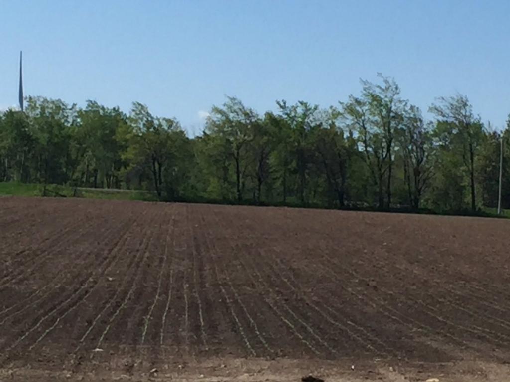 Formation of a multi-contour land