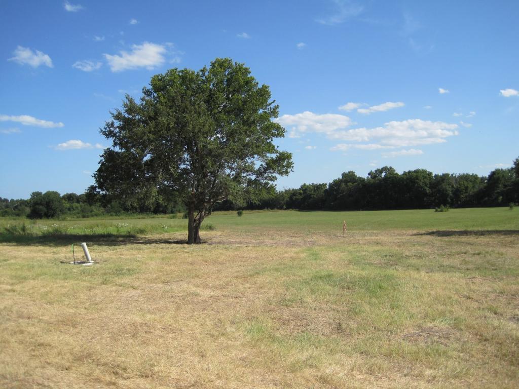 maximum minimum and maximum land sizes