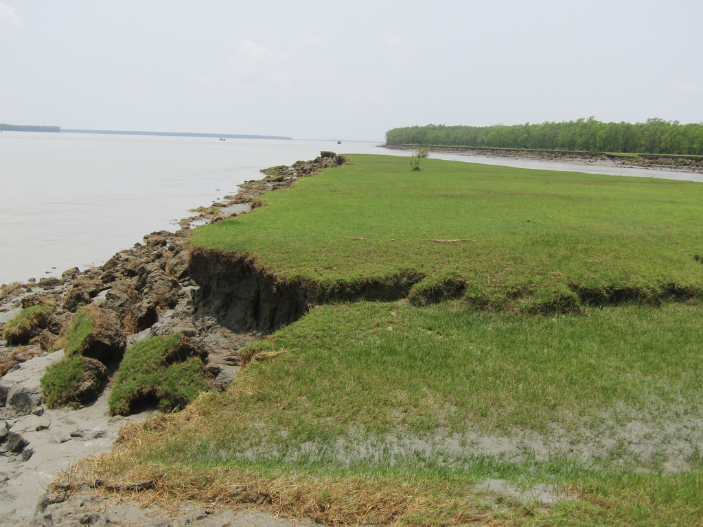 Allocation and division of land