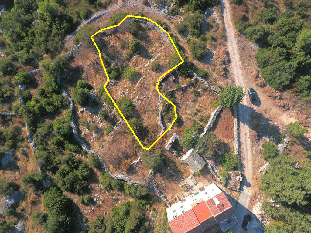 Land allotment formation