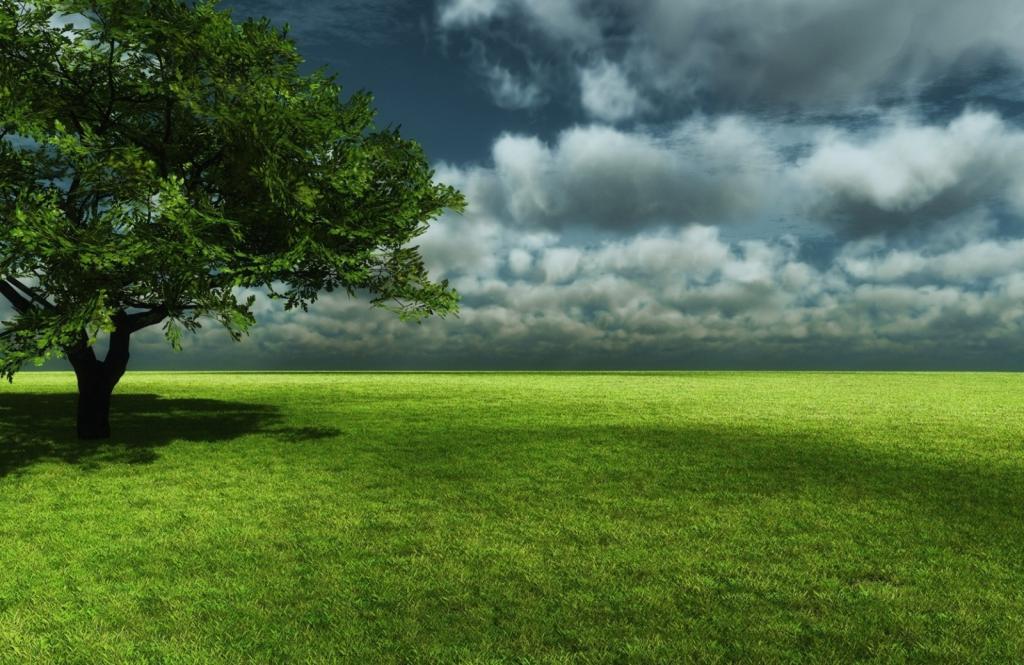 Land allocation procedure