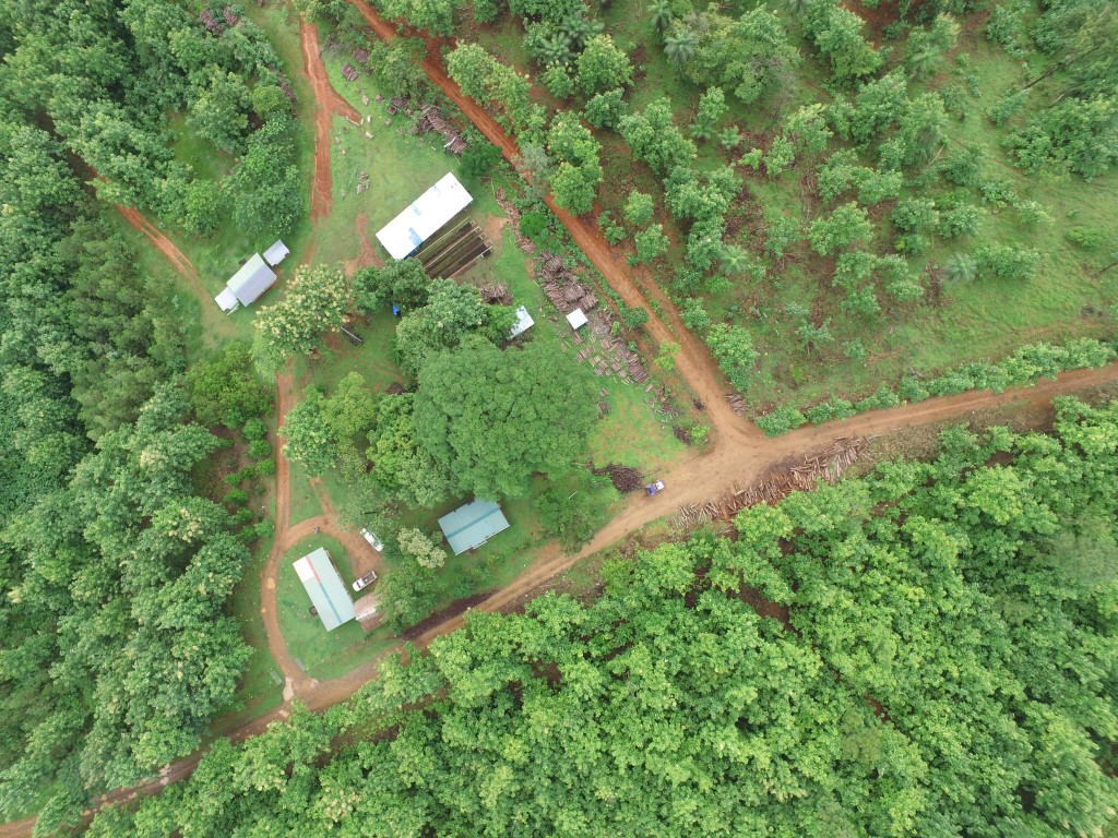 Determining the procedure for using a land plot