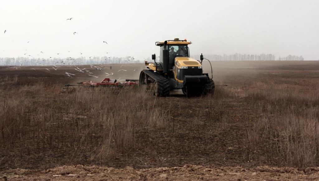 Unclaimed share of the land