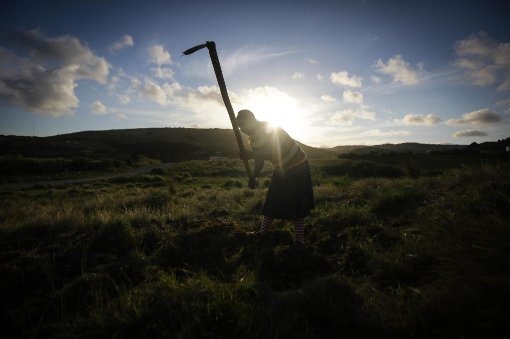 Article 80 of the RF Labor Code