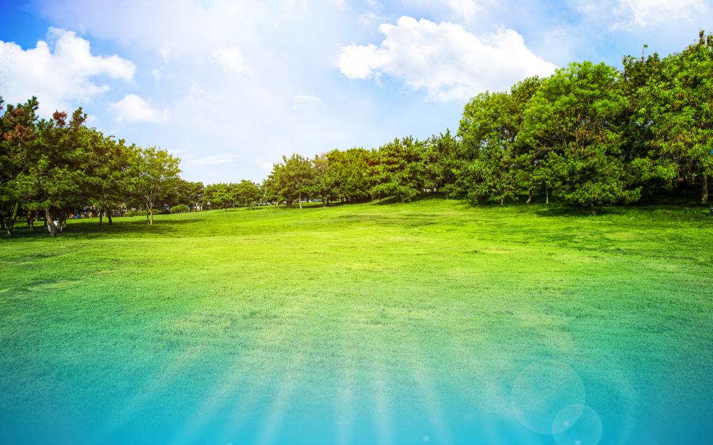 Country-gardening non-profit partnership