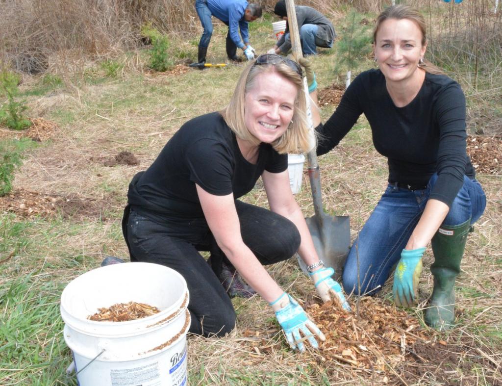 Creation of a country non-profit partnership