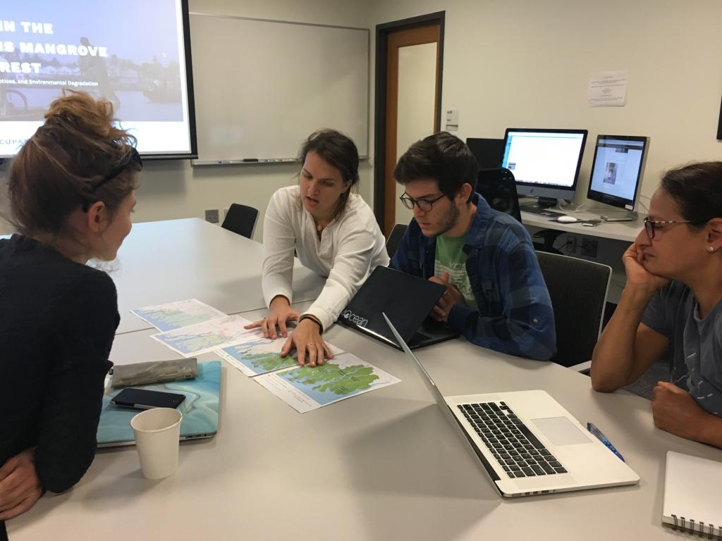 Information Services Development