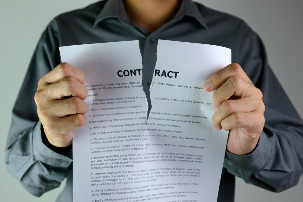 Terms of the contract for the provision of services