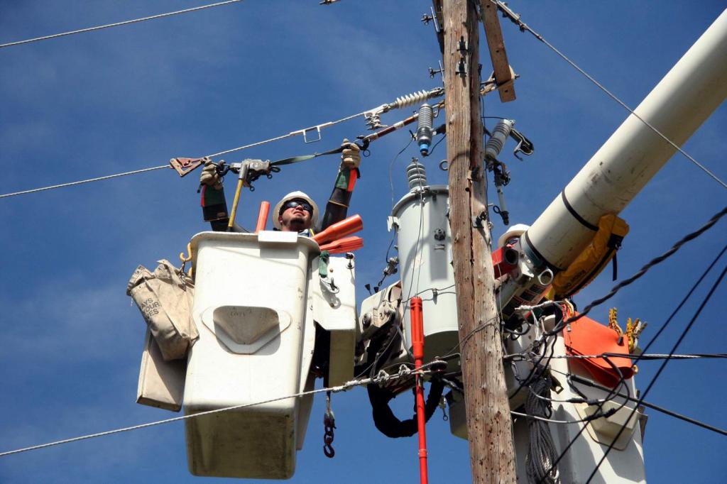 Essential terms of the energy supply agreement for article 442