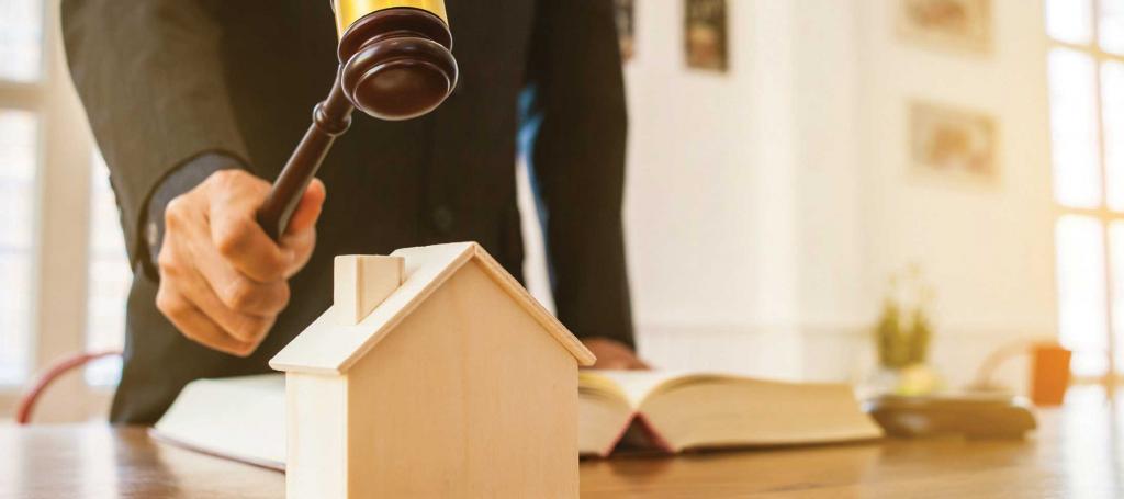 Litigation Dispute Resolution