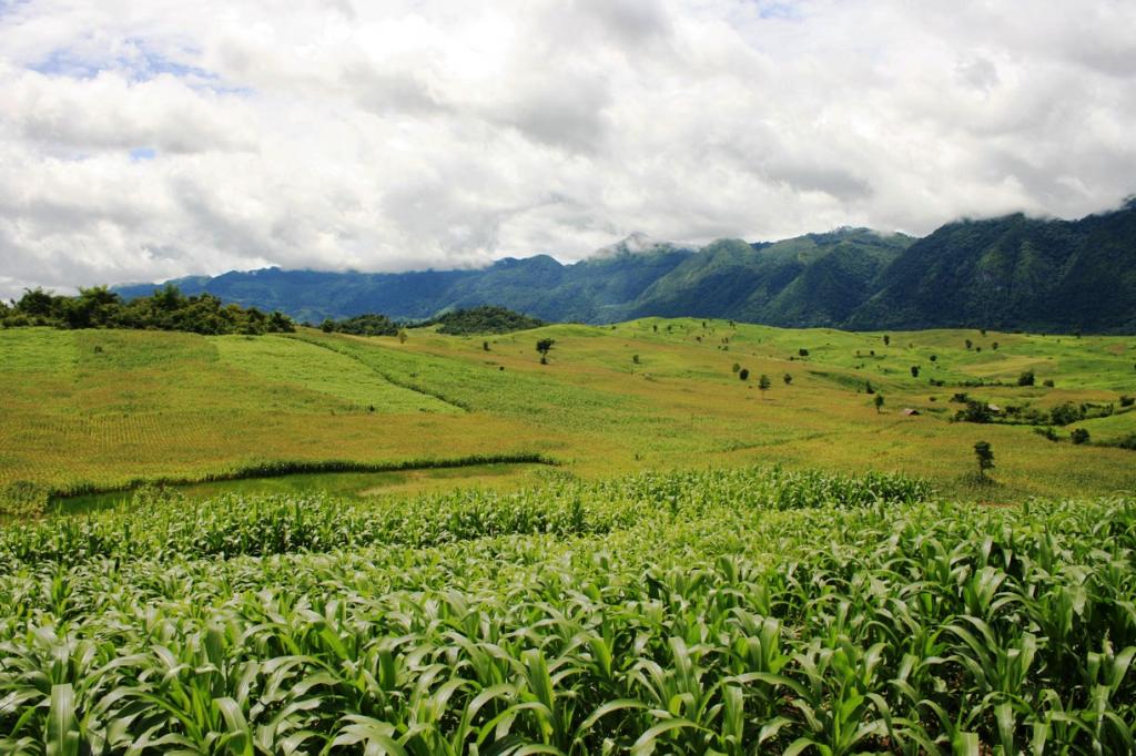 Essential terms of the contract agreement in the Russian Federation