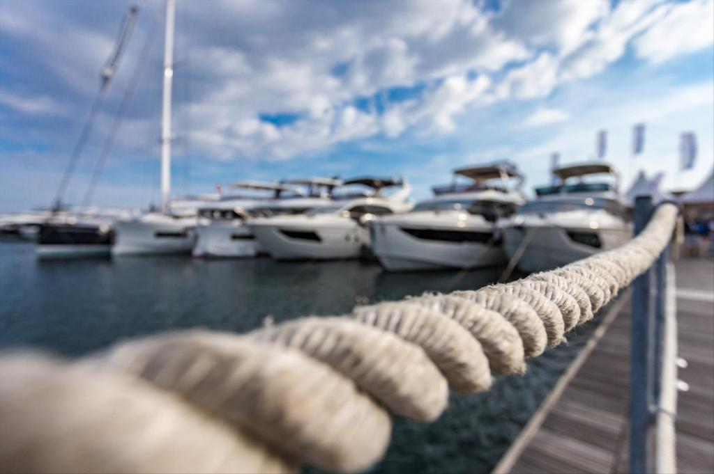 Features of customs procedures