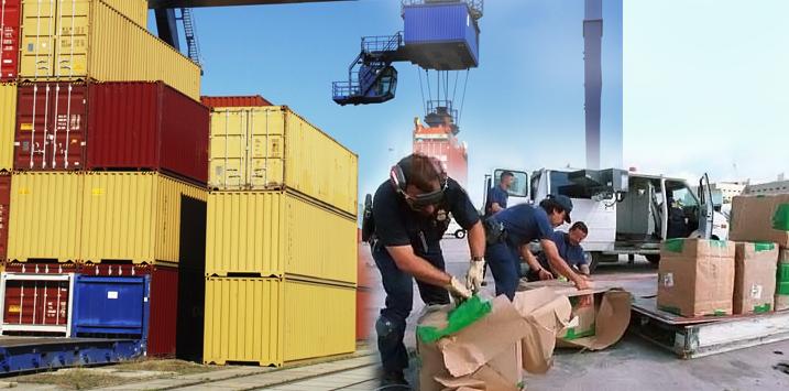 Customs payment system