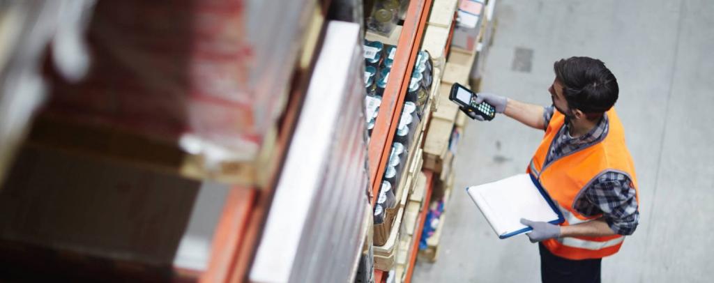 Customs regimes of the Russian Federation