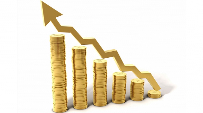 the features of a legal entity include