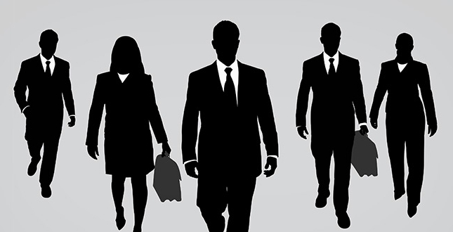 order to appoint the general director of llc