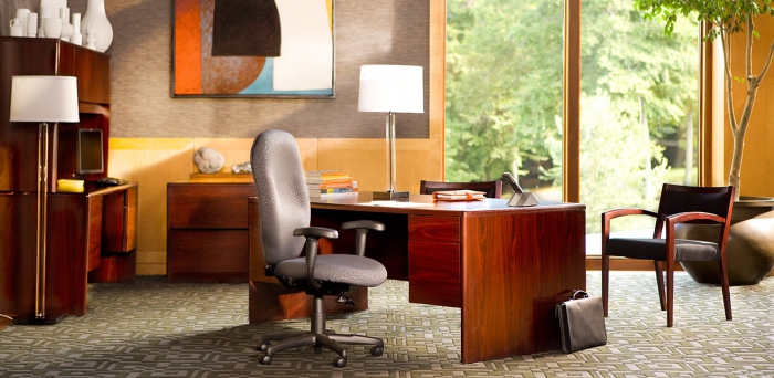 order for the appointment of the CEO