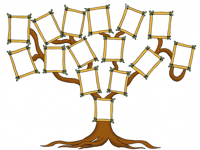 second degree of kinship