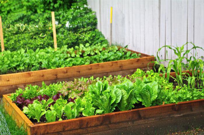 profitable village business