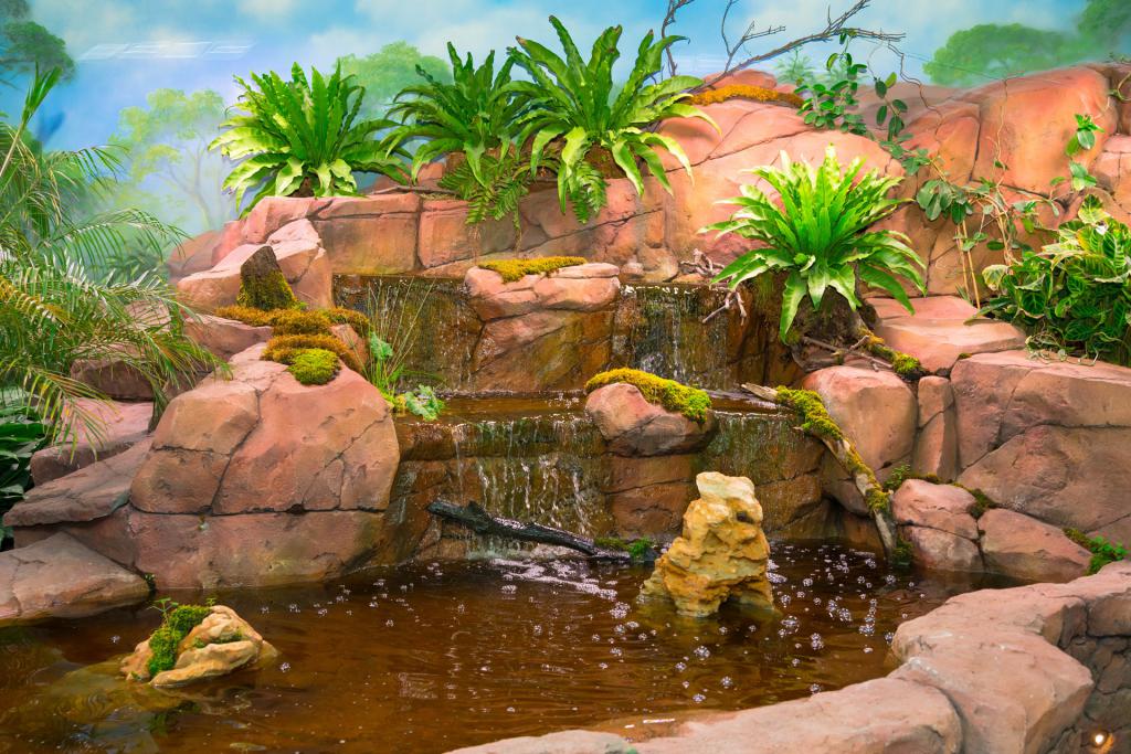 aquarium jungle reviews