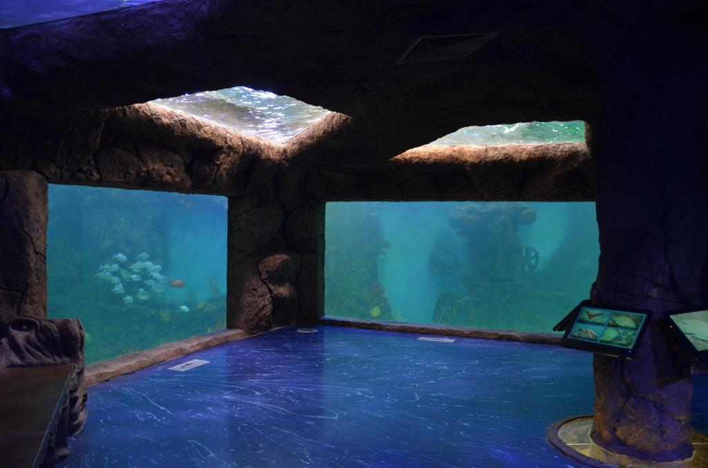 crocus city in Moscow