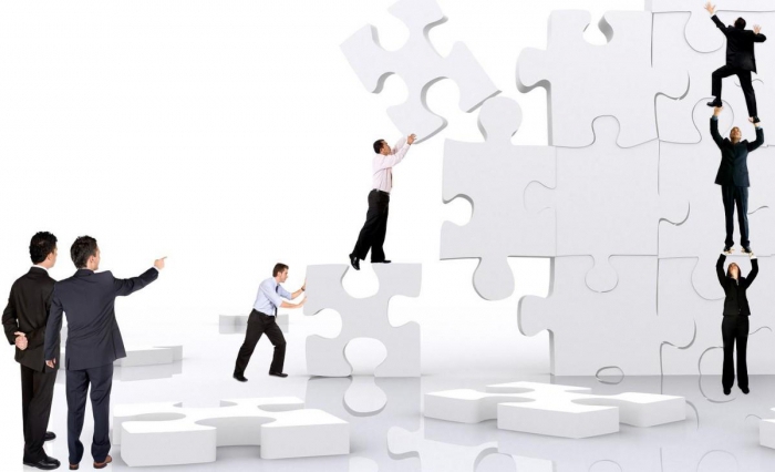 types of division of labor