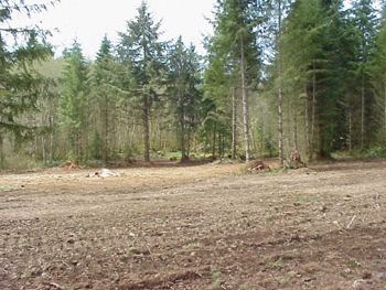 land for rent from the state