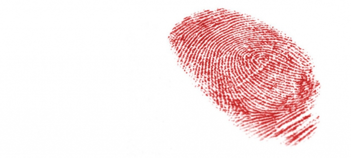 liability for property damage