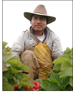 documents for hiring foreign citizens