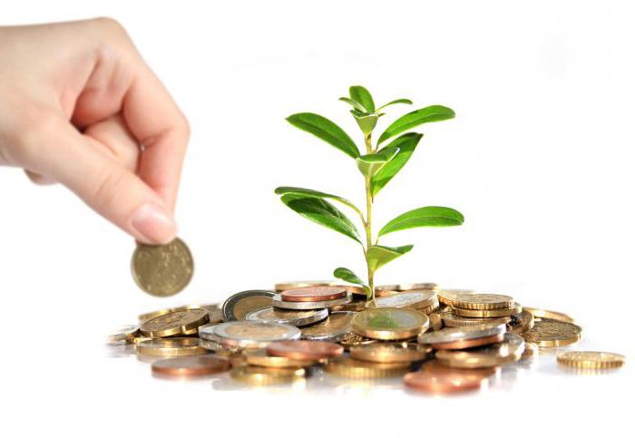  investment analysis example