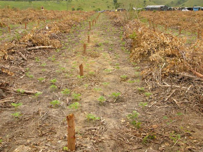 land reallocation agreement